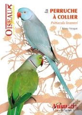 La Perruche À Collier Psittacula Krameri