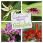 La Petite Encyclo Rustica Des Orchidees - Preview