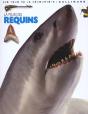 La Peur Des Requins - Preview