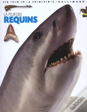 Capa do artigo La Peur Des Requins