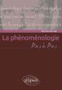 La Phénoménologie - Preview