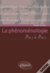 La Phénoménologie