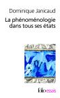 La Phénoménologie Dans Tous Ses États - Preview