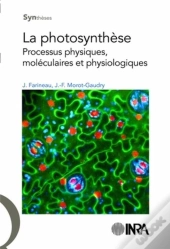La Photosynthèse ; Processus Physiques, Moléculaires Et Physiologiques