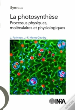 Capa do artigo La Photosynthèse ; Processus Physiques, Moléculaires Et Physiologiques