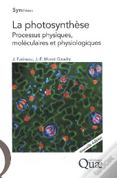 La Photosynthèse ; Processus Physiques, Moléculaires Et Physiologiques