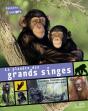 La Planète Des Grands Singes - Preview