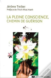 La Pleine Conscience, Chemin De Guérison