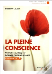 Capa do artigo La Pleine Conscience