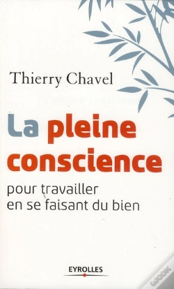 Capa do artigo La Pleine Conscience Pour Travailler En Se Faisant Du Bien