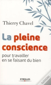 Capa do artigo La Pleine Conscience Pour Travailler En Se Faisant Du Bien