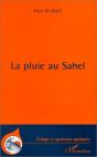 La Pluie Au Sahel - Preview