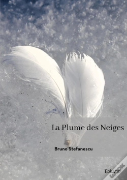 Capa do artigo La Plume Des Neiges