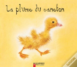 Capa do artigo La Plume Du Caneton