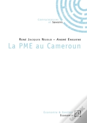 La Pme Au Cameroun