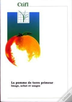 Capa do artigo La Pomme De Terre Primeur Image Achatusages Rapportetudes 33402