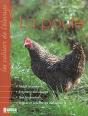 La Poule - Preview