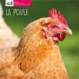 La Poule - Preview