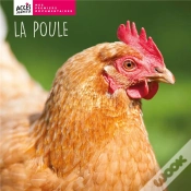 Capa do artigo La Poule