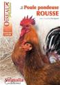 La Poule Pondeuse Rousse - Preview