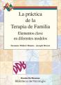 La Práctica De La Terapia De Familia - Preview