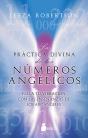 La Practica Divina De Los Numeros Angelicos - Preview