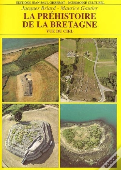 Capa do artigo La Préhistoire De La Bretagne ; Vue Du Ciel