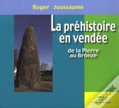 La Préhistoire En Vendée ; De La Pierre Au Bronze