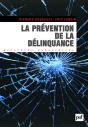 La Prévention De La Délinquance - Preview