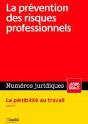 La Prevention Des Risques Professionnels - Preview