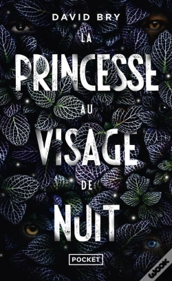 Capa do artigo La Princesse Au Visage De Nuit