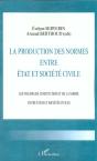 La Production Des Normes Entre Etat Et Societe Civile - Preview