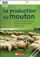 La Production Du Mouton