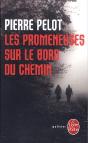 La Promeneuse Sur Le Bord Du Chemin - Preview