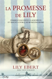 Capa do artigo La Promesse De Lily