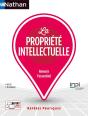 La Propriété Intellectuelle (Édition 2023) - Preview