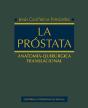 La Próstata - Preview