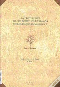 Capa do artigo La Protección De Los Derechos Humanos En Los Flujos Migratorios