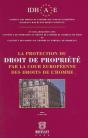 La Protection Du Droit De Propriete Par La Cour Europeenne Des Droits De L'Homme - Preview