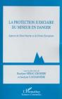 La Protection Judiciaire Du Mineur En Danger ; Aspects De Droit Interne Et De Droits Europeens - Preview