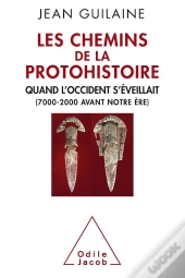 La Protohistoire