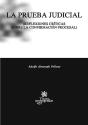 La Prueba Judicial - Preview