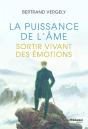 La Puissance De L'Âme : Sortir Vivant De L'Émotion - Preview