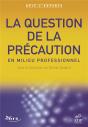 La Question De La Precaution En Milieu Professionnel - Preview