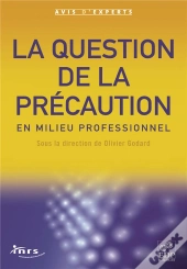 La Question De La Precaution En Milieu Professionnel