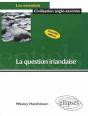 La Question Irlandaise - Nouvelle Édition Actualisée - Preview