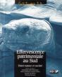 La Question Patrimoniale Au Sud - Preview