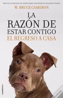 Capa do artigo La Razón De Estar Contigo. El Regreso A Casa