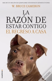Capa do artigo La Razón De Estar Contigo. El Regreso A Casa