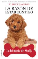 La Razon De Estar Contigo La Historia De